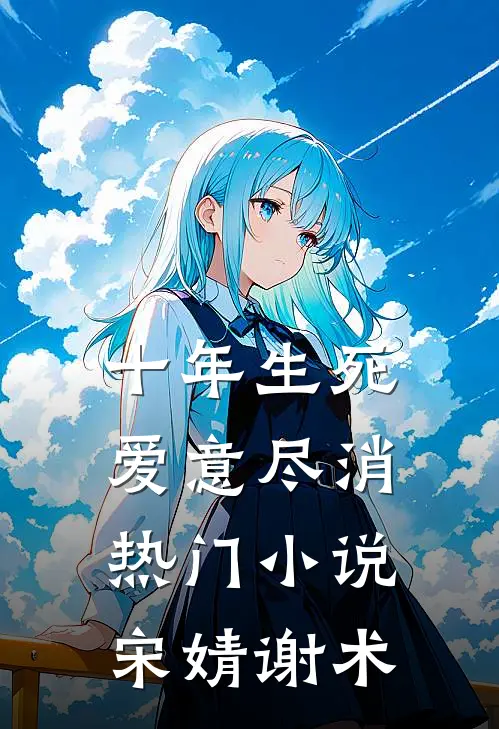 十年生死，爱意尽消热门小说宋婧谢术
