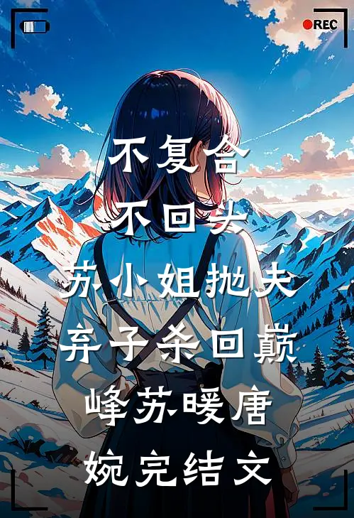 不复合，不回头，苏小姐抛夫弃子杀回巅峰苏暖唐婉完结文