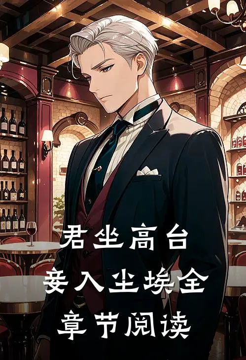 君坐高台，妾入尘埃全章节阅读