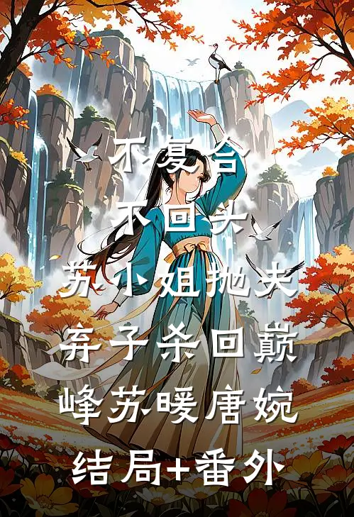 不复合，不回头，苏小姐抛夫弃子杀回巅峰苏暖唐婉结局+番外