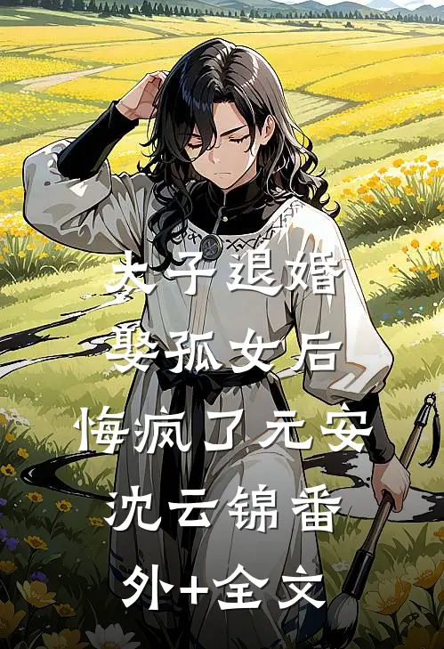 太子退婚娶孤女后，悔疯了元安沈云锦(番外)+(全文)