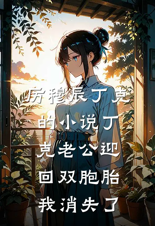 厉穆辰丁克的小说丁克老公迎回双胞胎，我消失了