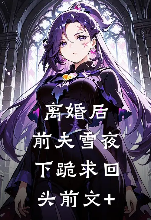 离婚后，前夫雪夜下跪求回头前文+