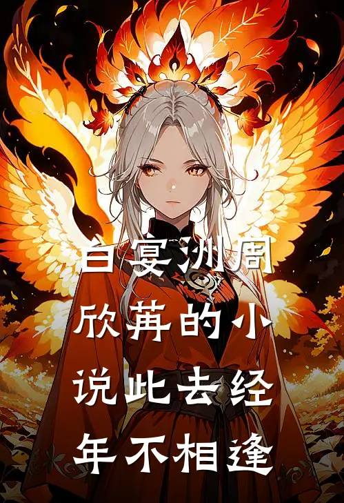 白宴洲周欣苒的小说此去经年不相逢