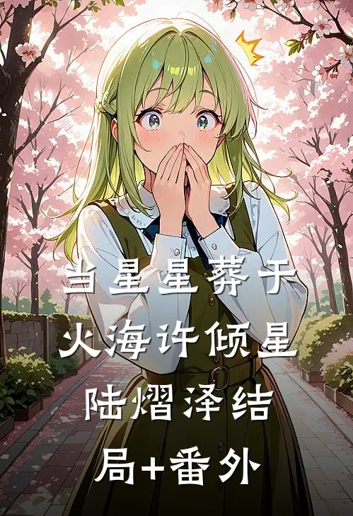 当星星葬于火海许倾星陆熠泽结局+番外