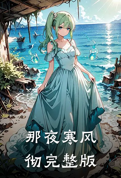 那夜寒风彻完整版