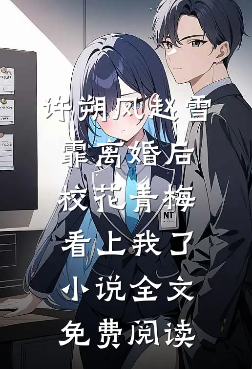 许朔风赵雪霏离婚后，校花青梅看上我了小说全文免费阅读