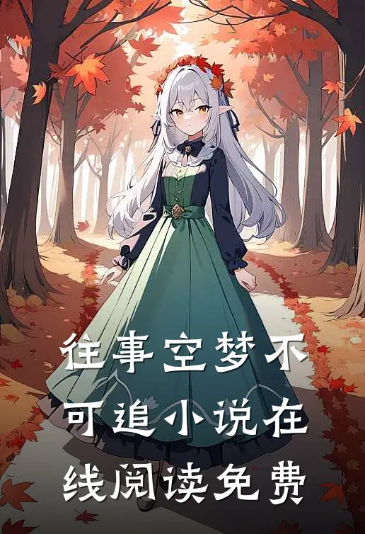 往事空梦不可追小说在线阅读免费