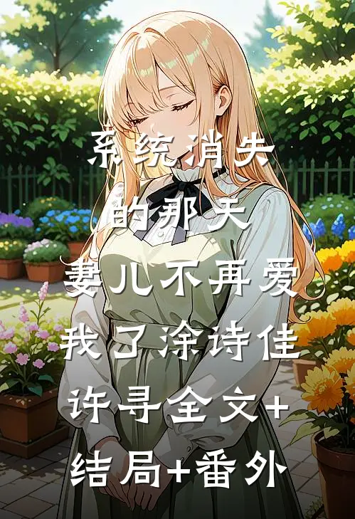 系统消失的那天，妻儿不再爱我了涂诗佳许寻全文+结局+番外