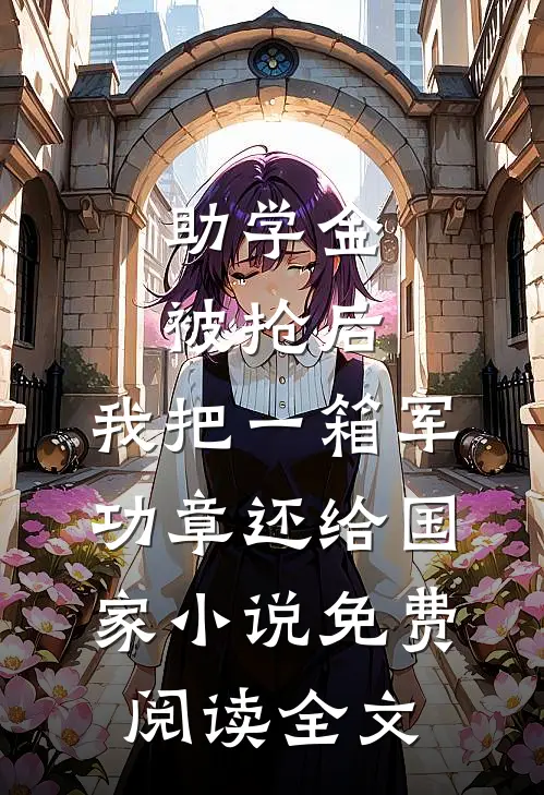 助学金被抢后，我把一箱军功章还给国家小说免费阅读全文