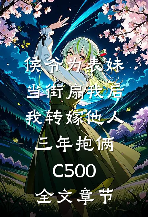 侯爷为表妹当街扇我后，我转嫁他人三年抱俩C500全文章节
