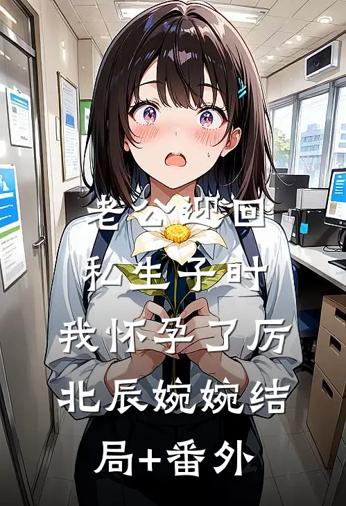 老公迎回私生子时，我怀孕了厉北辰婉婉结局+番外