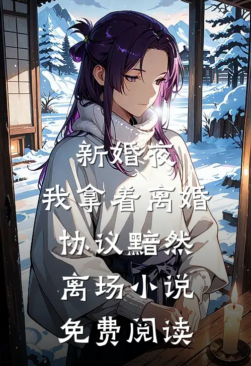 新婚夜，我拿着离婚协议黯然离场小说免费阅读