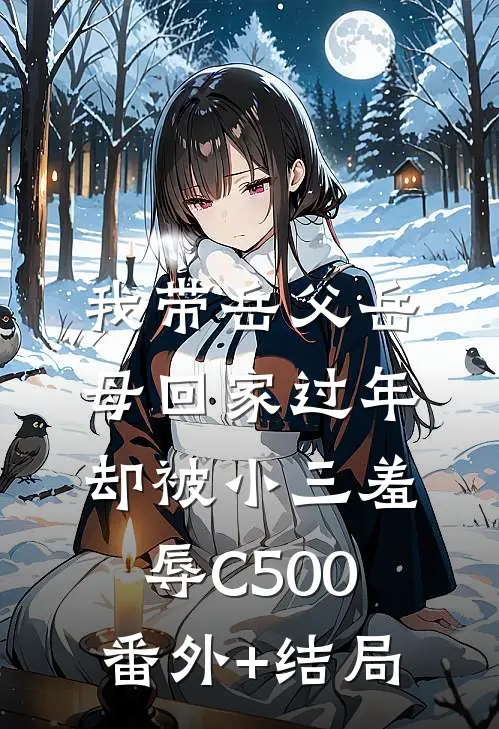 我带岳父岳母回家过年，却被小三羞辱C500:(番外)+(结局)