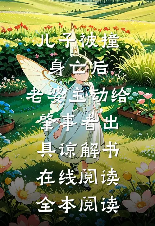 儿子被撞身亡后，老婆主动给肇事者出具谅解书在线阅读全本阅读
