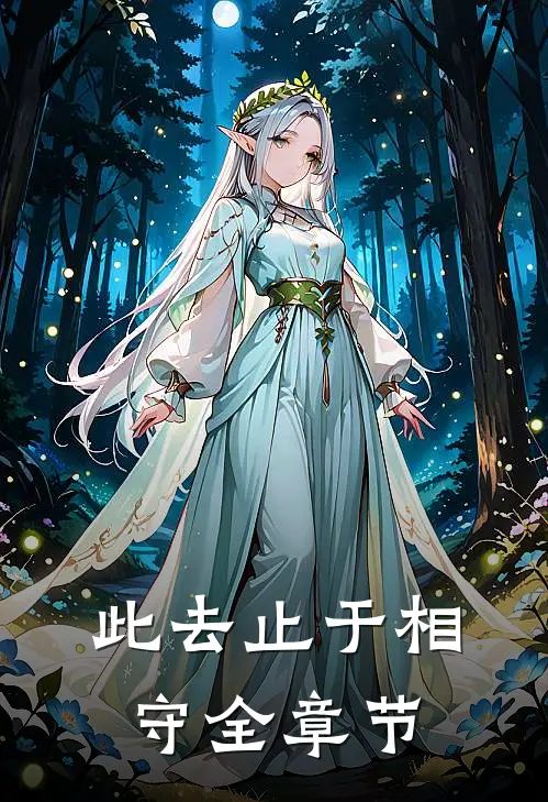 此去止于相守全章节