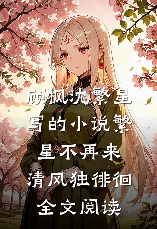 顾枫沈繁星写的小说繁星不再来，清风独徘徊全文阅读