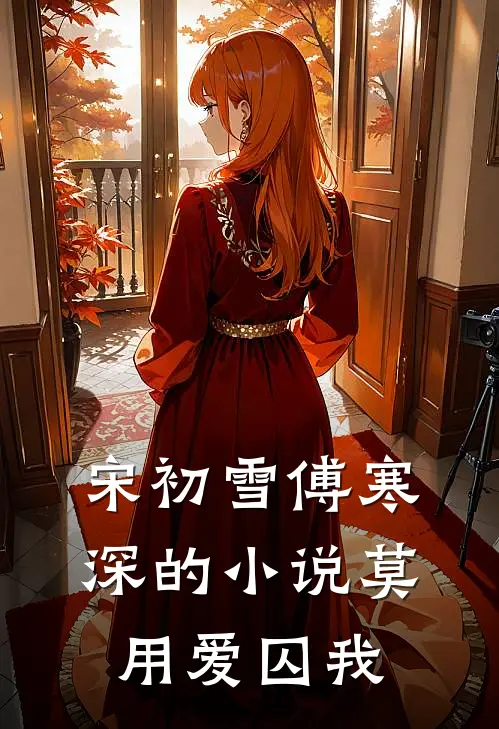 宋初雪傅寒深的小说莫用爱囚我