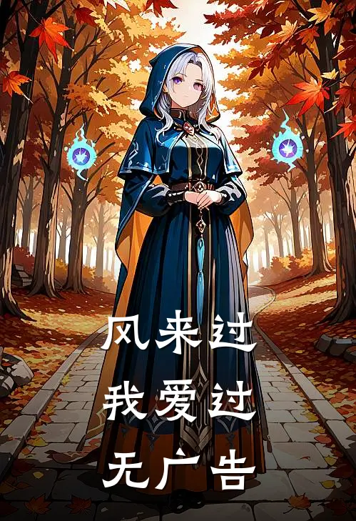 风来过，我爱过无广告