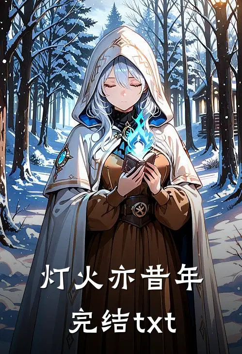 灯火亦昔年完结txt