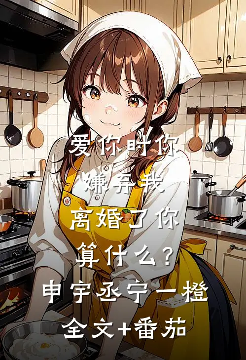 爱你时你嫌弃我，离婚了你算什么？申宇丞宁一橙全文+番茄