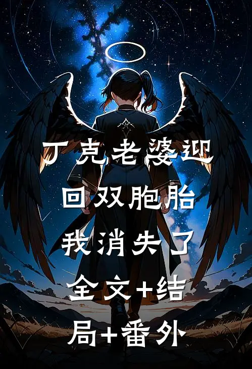 丁克老婆迎回双胞胎，我消失了:全文+结局+番外