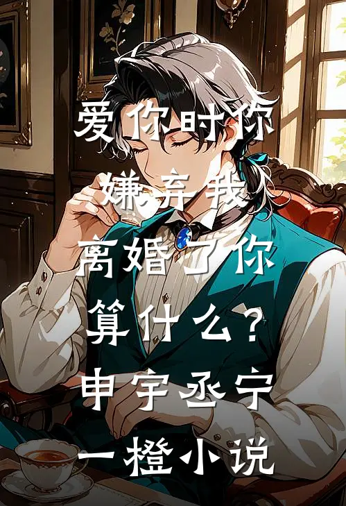 爱你时你嫌弃我，离婚了你算什么？申宇丞宁一橙小说