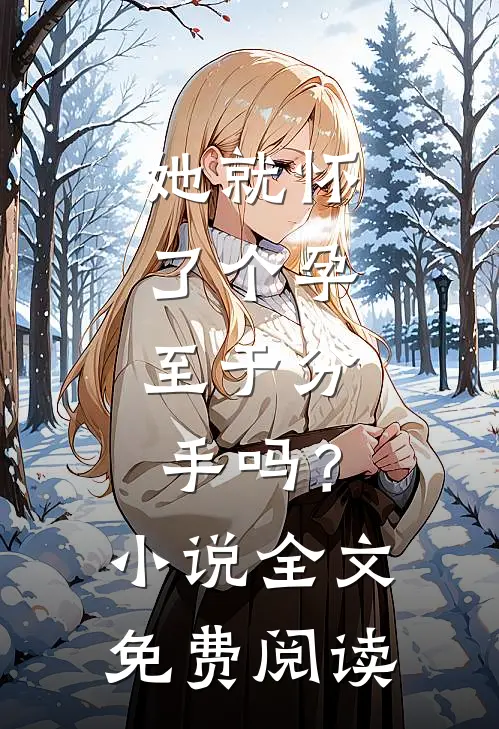 她就怀了个孕，至于分手吗？小说全文免费阅读