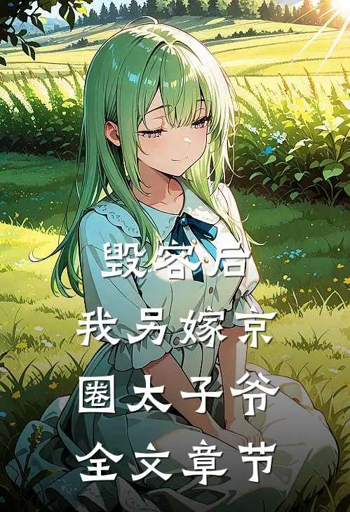 毁容后，我另嫁京圈太子爷全文章节