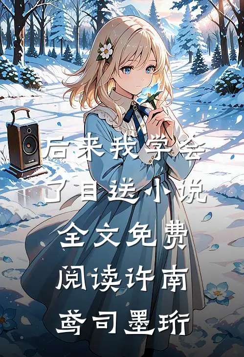 后来我学会了目送小说全文免费阅读许南鸢司墨珩