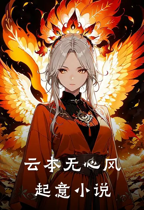 云本无心风起意小说