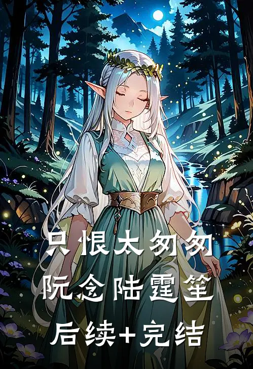 只恨太匆匆阮念陆霆笙后续+完结