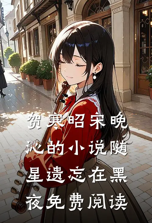 贺寒昭宋晚沁的小说随星遗忘在黑夜免费阅读
