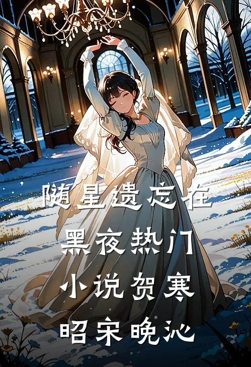 随星遗忘在黑夜热门小说贺寒昭宋晚沁
