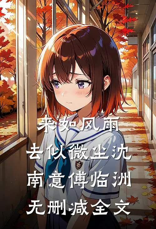 来如风雨，去似微尘沈南意傅临洲无删减全文