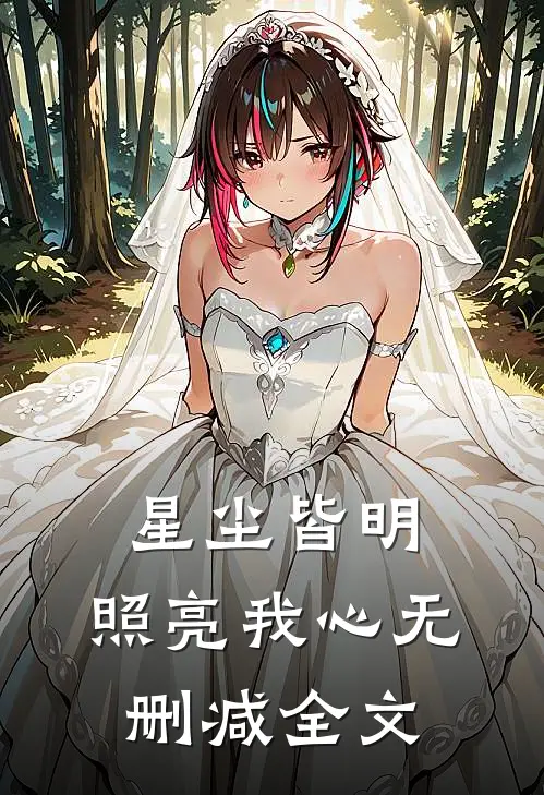 星尘皆明，照亮我心无删减全文