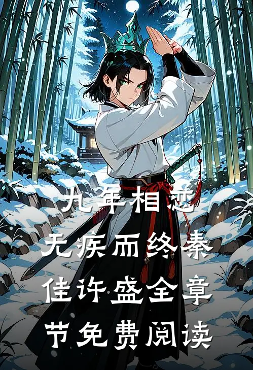九年相恋，无疾而终秦佳许盛全章节免费阅读