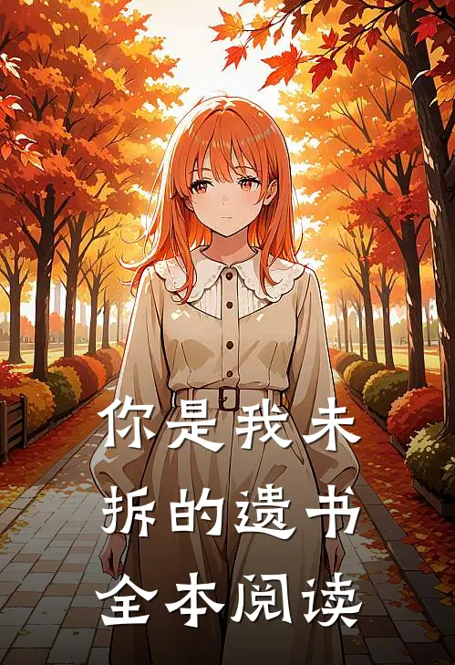 你是我未拆的遗书全本阅读