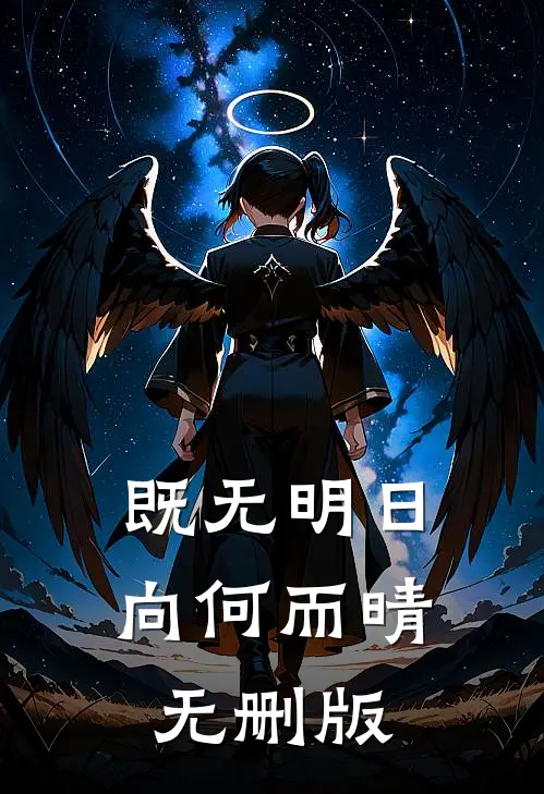 站在最高处！她是我的最佳助手的小说