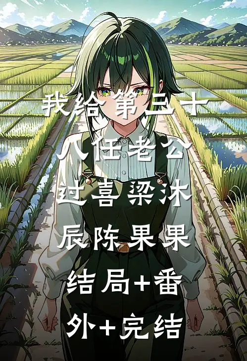 我给第三十八任老公过喜梁沐辰陈果果结局+番外+完结