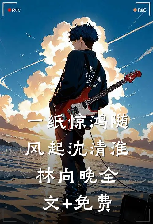 一纸惊鸿随风起沈清淮林向晚全文+免费