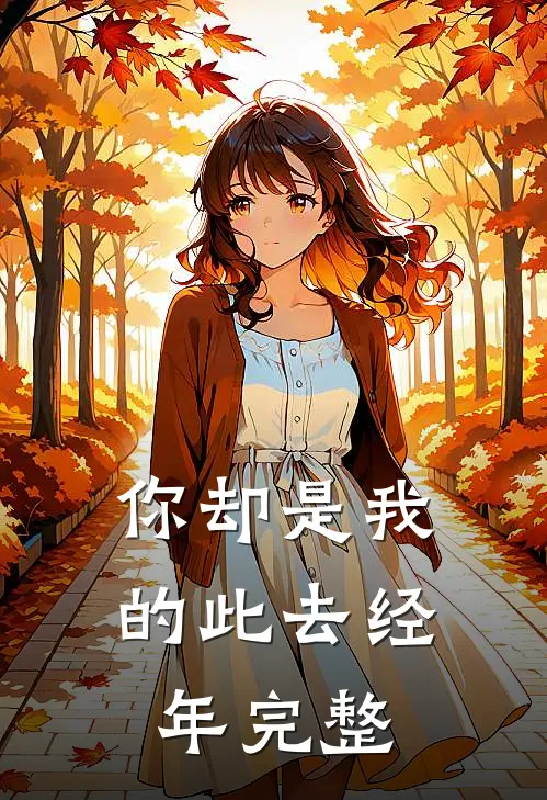 你却是我的此去经年完整