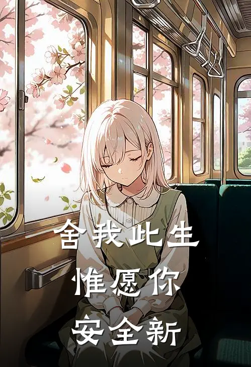 舍我此生，惟愿你安全新