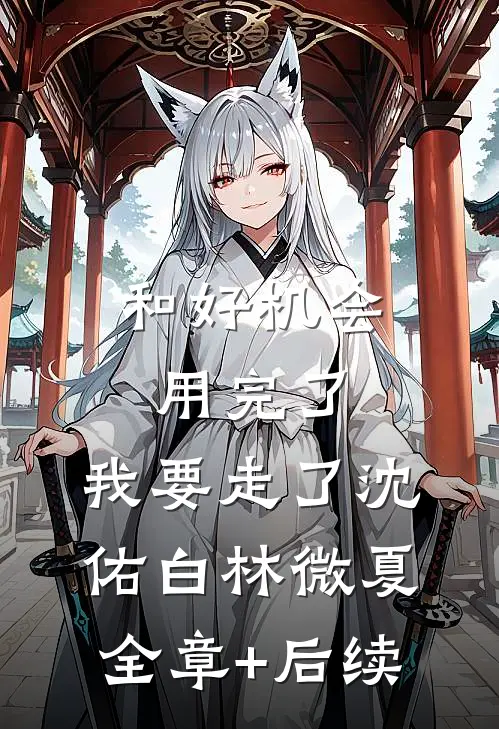 和好机会用完了，我要走了沈佑白林微夏:全章+后续