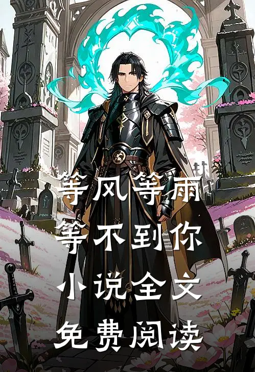 等风等雨等不到你小说全文免费阅读