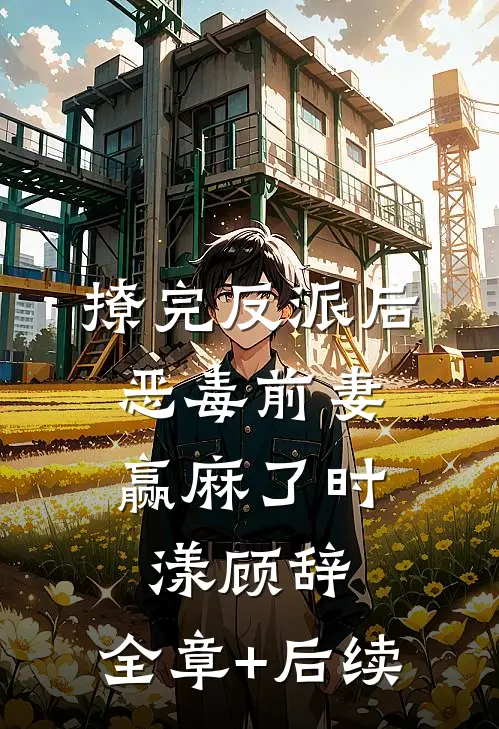 撩完反派后，恶毒前妻赢麻了时漾顾辞:全章+后续