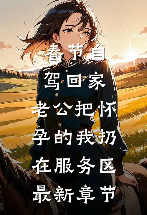 春节自驾回家，老公把怀孕的我扔在服务区最新章节