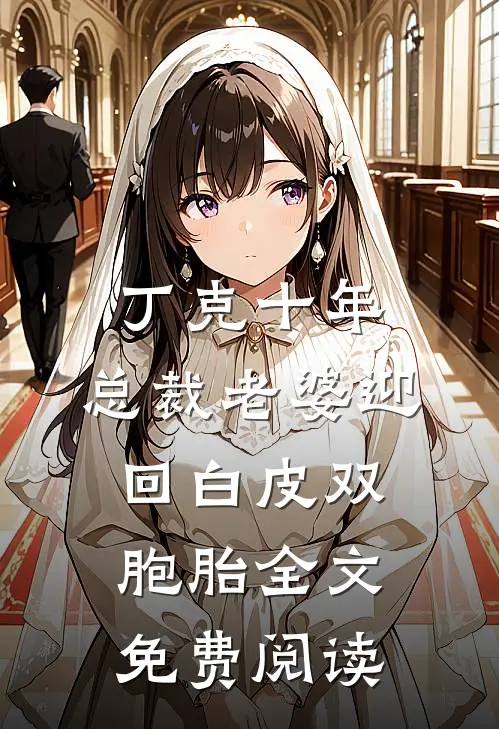 丁克十年，总裁老婆迎回白皮双胞胎全文免费阅读