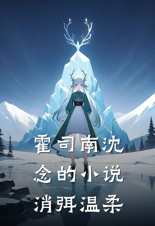 霍司南沈念的小说消弭温柔