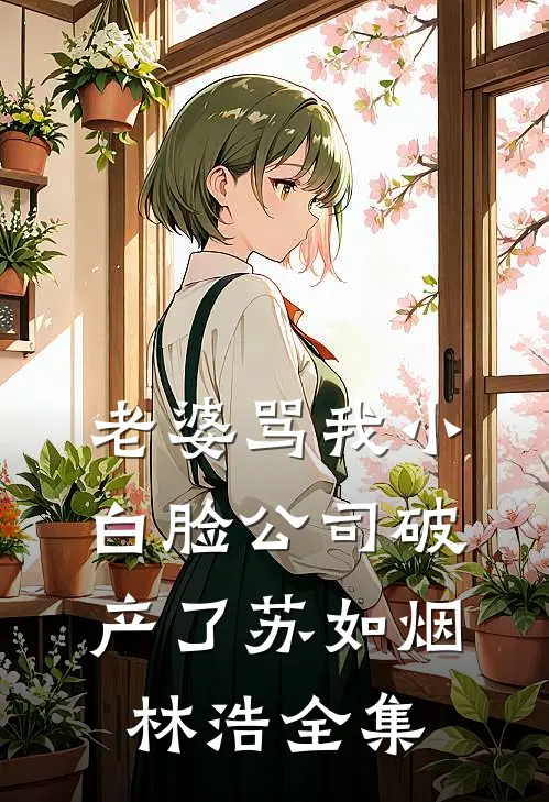老婆骂我小白脸公司破产了苏如烟林浩全集